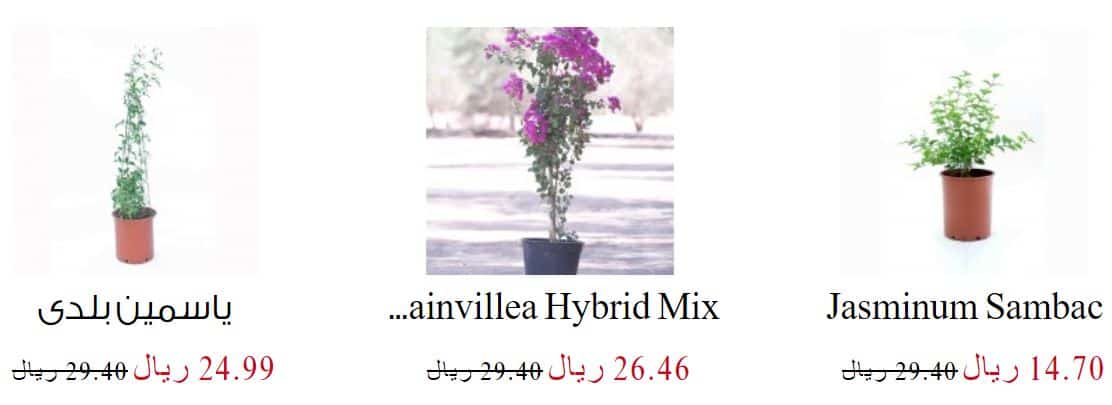 تخفيضات نهاية السنه 2019 حدائق السلطان عروض نهاية العام Extrastoresoffers