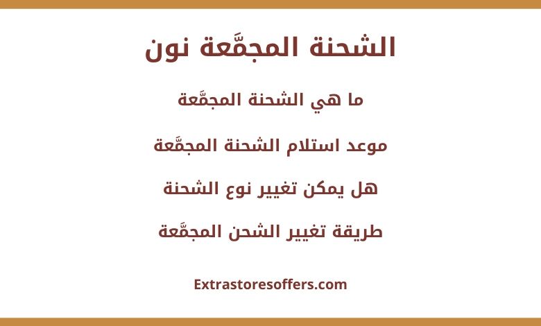 الشحنة المجمَّعة نون